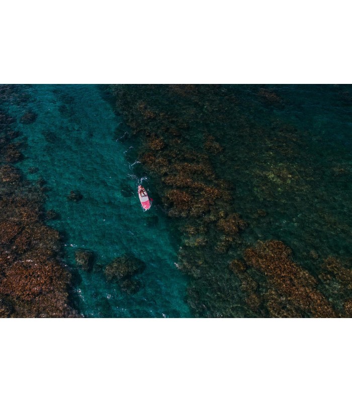 Fanatic SUP Diamond