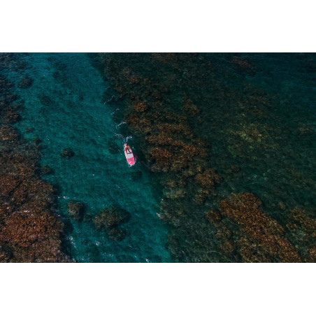 Fanatic SUP Diamond