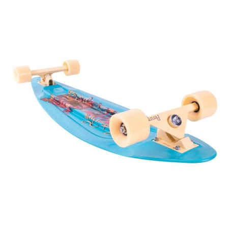 Penny Cruiser 36 Cartolina Costiera