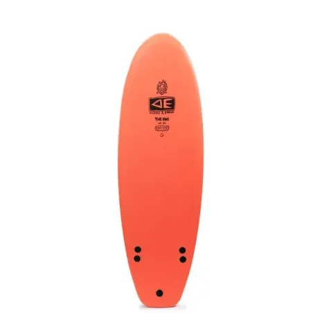 FREAKS BUG 5'2 - 33L